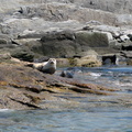 DSC04451
